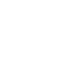 Vitality White